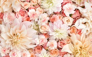 Charming Floral Pastels Aesthetic On A Computer Monitor Wallpaper