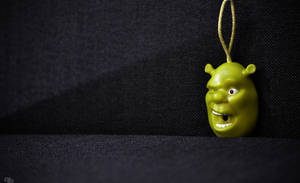 Charming Keychain Inspired By Shrek Pc Game Wallpaper