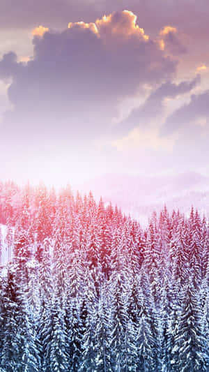 Charming Winter Wonderland On Phone Screen Wallpaper