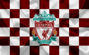 Checkered Liverpool Fc Desktop Wallpaper