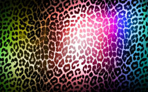 Cheetah Print Rainbow Wallpaper
