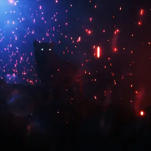 Cheetah, Silhouette, Eyes, Light, Shine Wallpaper