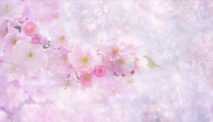 Cherry Blossom Pastels Aesthetic Computer Wallpaper