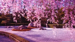 Cherry Blossom Zen Garden Anime Style Wallpaper