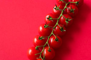 Cherry Tomato Aesthetic For Laptop Wallpaper