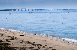 Chesapeake Bay's Shoreline Wallpaper