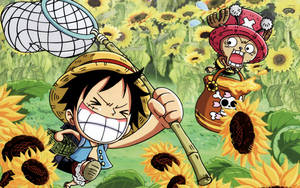 Chibi Luffy One Piece Wallpaper