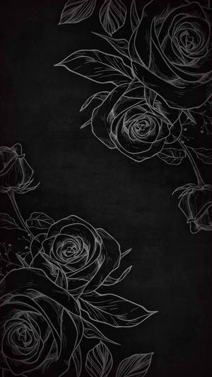 Chic Black Rose Iphone Wallpaper Wallpaper