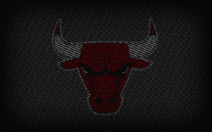 Chicago Bulls Fine Name Logo Wallpaper