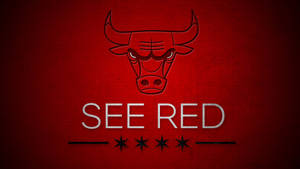 Chicago Bulls Four Black Stars Logo Wallpaper