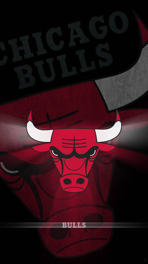 Chicago Bulls Mirrored Logo Wallpaper