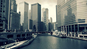 Chicago In Black And White Wallpaper