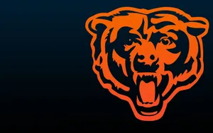 Chicago Sports Orange Bears Mascot Wallpaper
