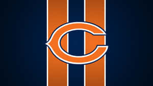 Chicago, The City Of Champions Wallpaper