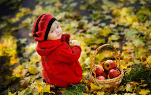 Child With A Basket Of Apples Wallpaper