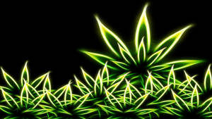 Chill Stoner Green Weeds Wallpaper
