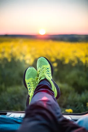 Chill Sunset Scene For Iphone Wallpaper