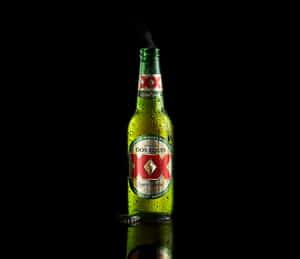 Chilled Dos Equis Beer Bottle Wallpaper