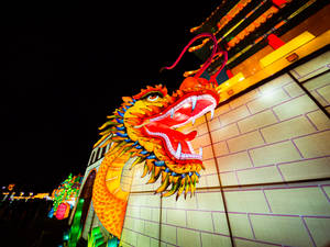 Chinese Dragon Lights Wallpaper