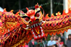 Chinese New Year's Dragon Wallpaper