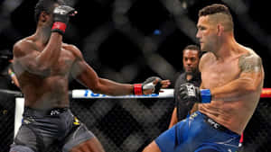 Chris Weidman Battles Uriah Hall In Ufc Match Wallpaper