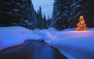 Christmas Forest With Snowy River Wallpaper