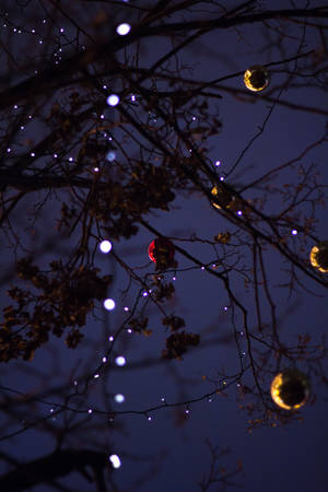 Christmas Lights Balls Bare Branches Wallpaper