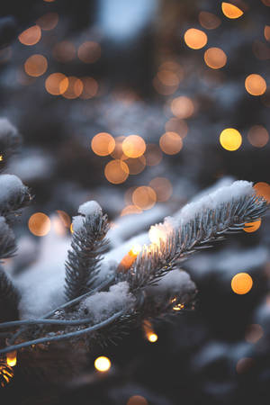 Christmas Lights Illuminate One's Iphone Wallpaper