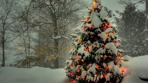 Christmas Lights On Tree Wallpaper