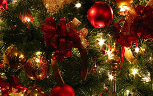 Christmas Lights On Tree Close-up Wallpaper