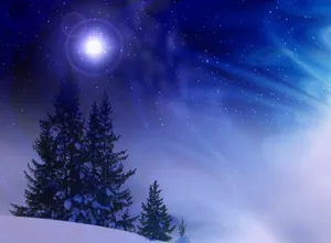 Christmas Tree Blue Night Blizzard Wallpaper