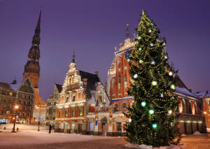 Christmas Tree By Blackheads House, Riga Wallpaper
