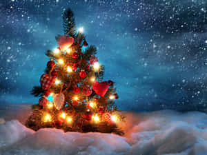 Christmas Winter [wallpaper] Wallpaper