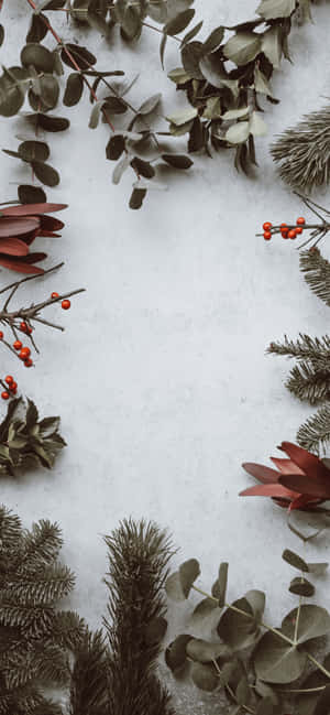 Christmas Wreath With Holly And Berries On A White Background Wallpaper