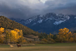 Chrome Os Mountain Scenery Wallpaper