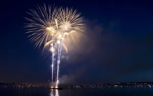 Chrysanthemum Effect New Years Eve Wallpaper