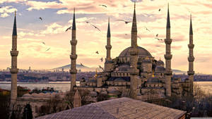 City Turkey Istanbul Sultan Ahmet Mosque Wallpaper