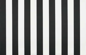 Classic Black And White Stripes Never Go Out Of Style. Wallpaper