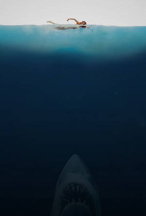Classic Jaws Poster Wallpaper