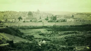 Classic Palestine Compound Wallpaper