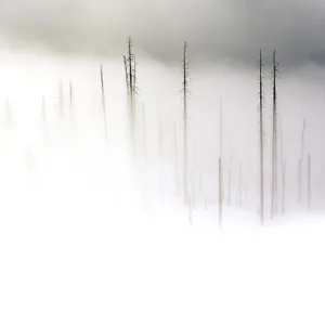 Clean And Modern Apple Ipad Wallpaper