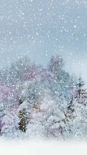 Clear Sky With Snow Falling Wallpaper