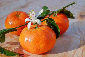 Clementine Fruits With Leaf And Blossom Wallpaper