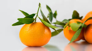 Clementine Fruits With Leaf Eye Level Shot Wallpaper