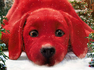 Clifford The Big Red Dog Christmas Wallpaper