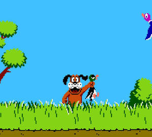 Duck hunt deals computer game