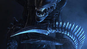 Close-up Of A Sharp-tailed Alien Wallpaper
