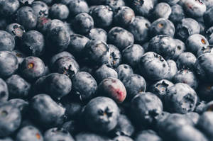 Close-up Shot Of Blueberries For Fruits Background Wallpaper