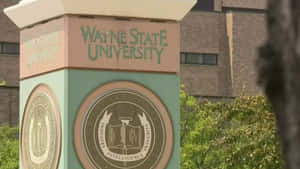 Close-up Signage Wayne State University Wallpaper