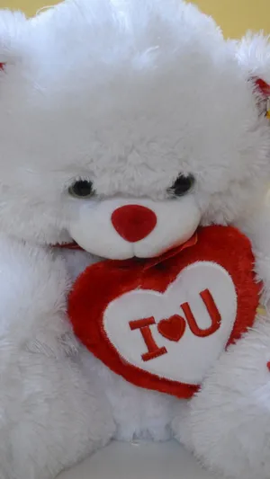 Close-up White Teddy Bear Wallpaper